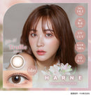 【公式】ハルネ ワンデー 10枚入り