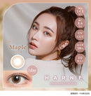 【公式】ハルネ ワンデー 10枚入り