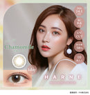 【公式】ハルネ ワンデー 10枚入り