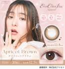 【公式】エバーカラーワンデーナチュラル 20枚入り