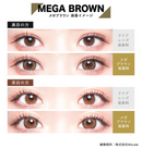 【公式】カラーズマンスリー2枚入