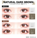 【公式】カラーズマンスリー2枚入