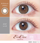 【公式】エバーカラーマンスリー 2枚入
