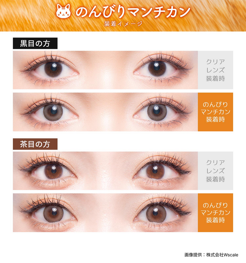 【公式】フルーリー バイ カラーズ ワンデー 10枚入