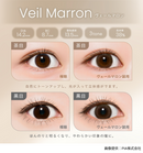 【公式】プロウィンク ワンデー10枚入り