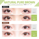 【公式】カラーズ ワンデー 10枚入り