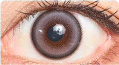 スタッフレビューアイコン