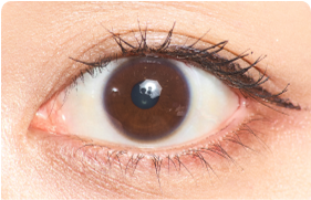 スタッフレビューアイコン