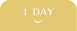 collection_colorlens_ranking_tab_1day.png