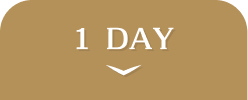collection_colorlens_ranking_tab_1day_active.png