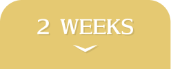 collection_colorlens_ranking_tab_2weeks.png