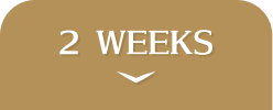 collection_colorlens_ranking_tab_2weeks_active.png