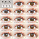 【公式】エバーカラーワンデールクアージュ 10枚入り