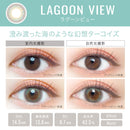 【公式】エバーカラーワンデールクアージュ 10枚入り