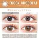 【公式】エバーカラーワンデールクアージュ 10枚入り