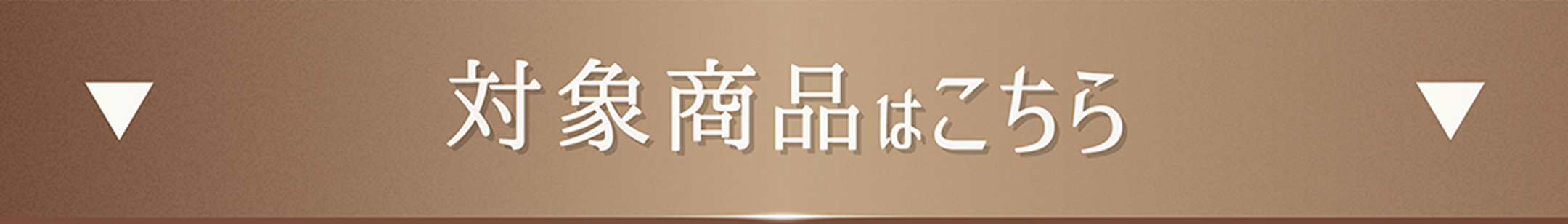 lp_cp_pia_202511_cta